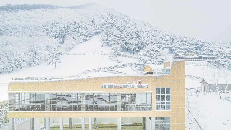 순수 양떼목장 (3)