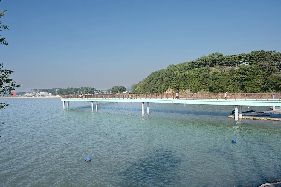 화성_궁평항광장 (6).jpg