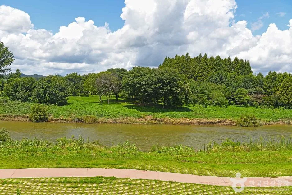 곡성_제월섬 (5)