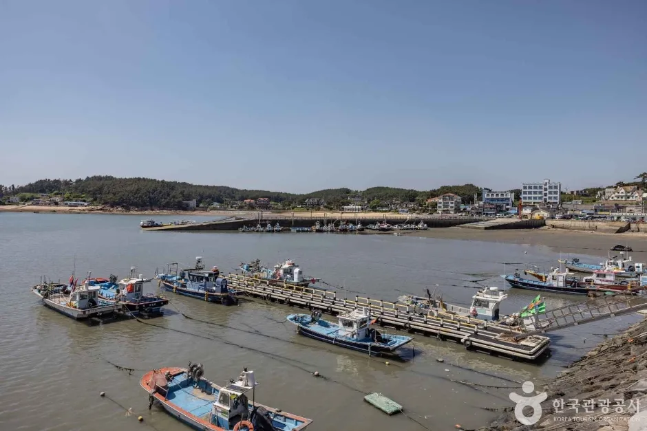 몽대포구 (11)