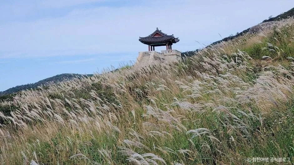 합천_황매산 억새군락지 (5)