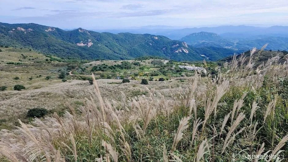 합천_황매산 억새군락지 (4)