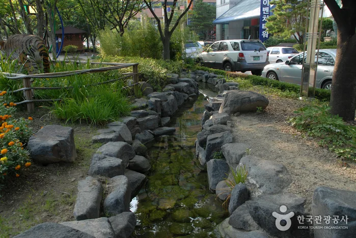 유성 관광특구 (8)