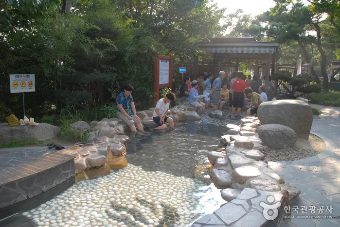 유성 관광특구 (5)