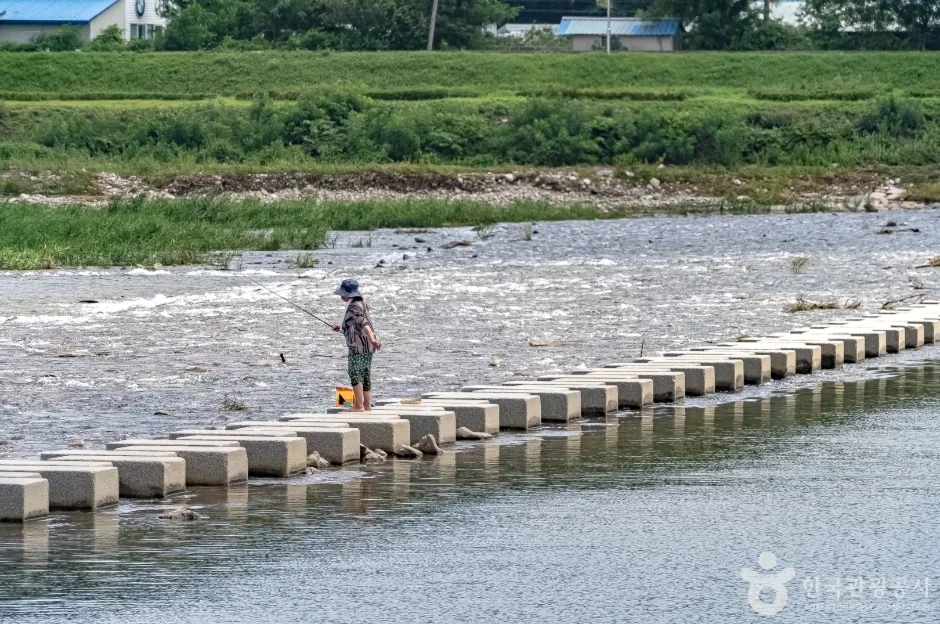 양양남대천체육공원11