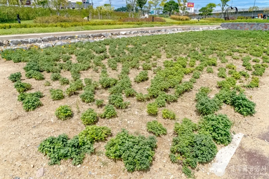 양양남대천체육공원10