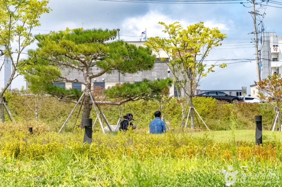 양양남대천체육공원7