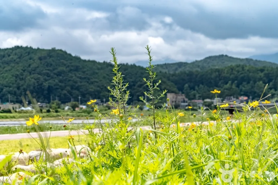 양양남대천체육공원9