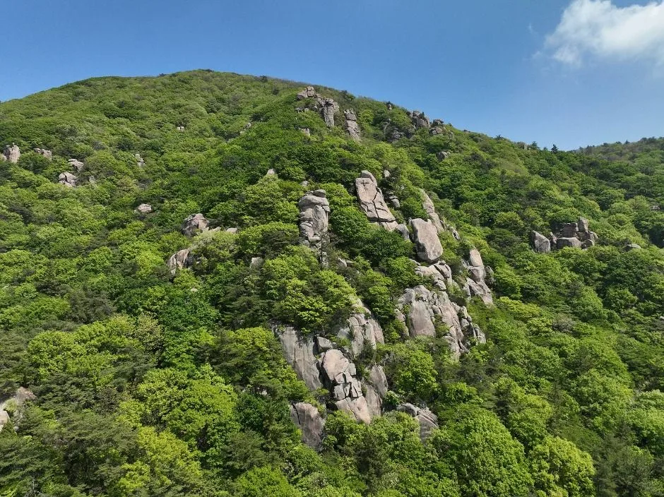 고흥_마복산(고흥) (2)