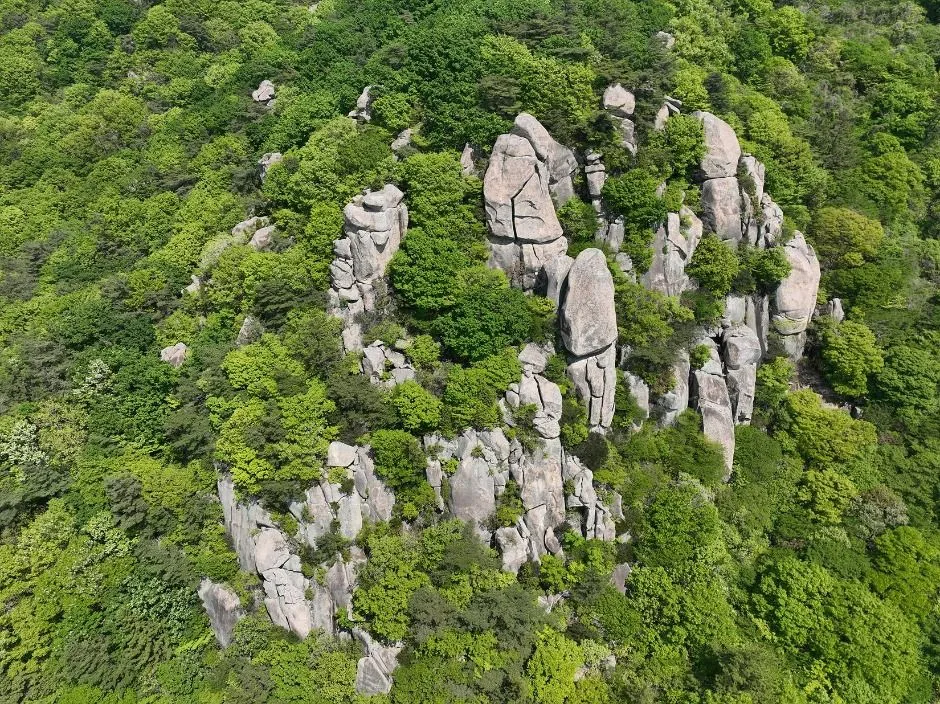 고흥_마복산(고흥) (4)