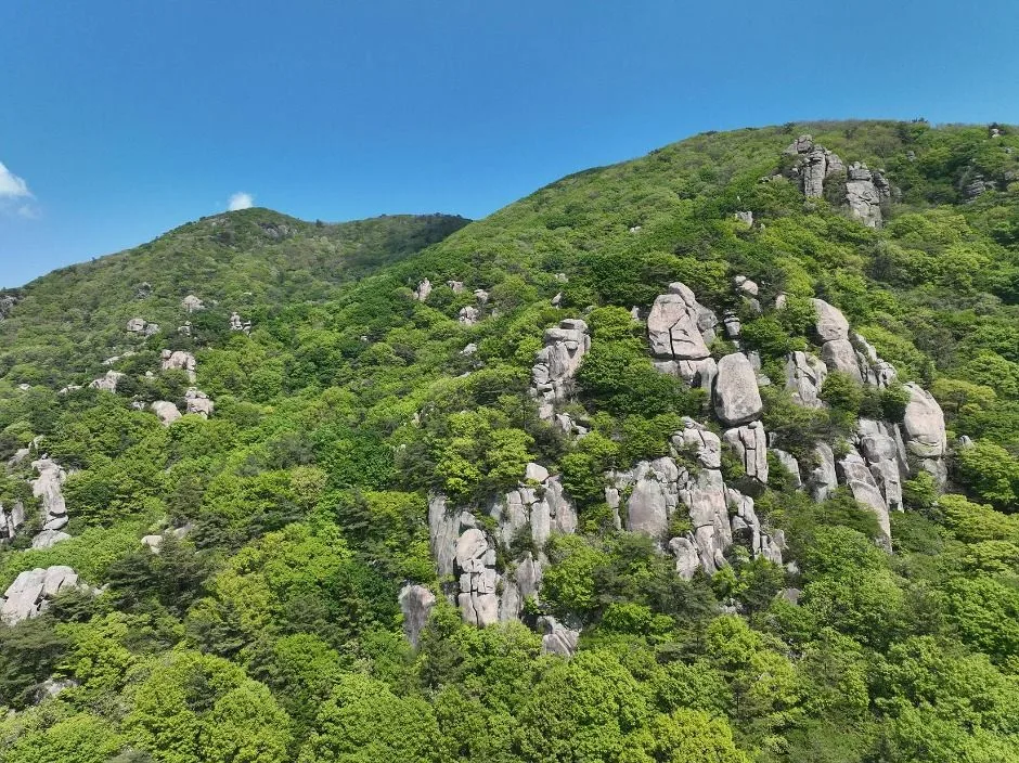 고흥_마복산(고흥) (3)