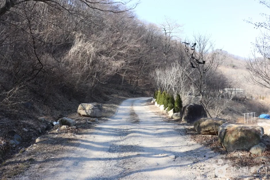 경주 왕의 길 (10)