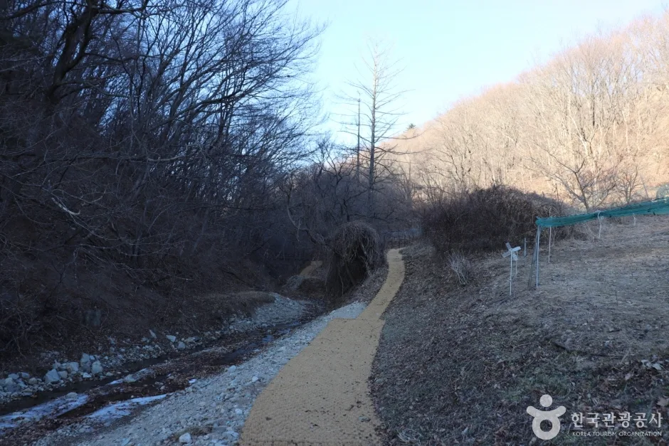 경주 왕의 길 (7)