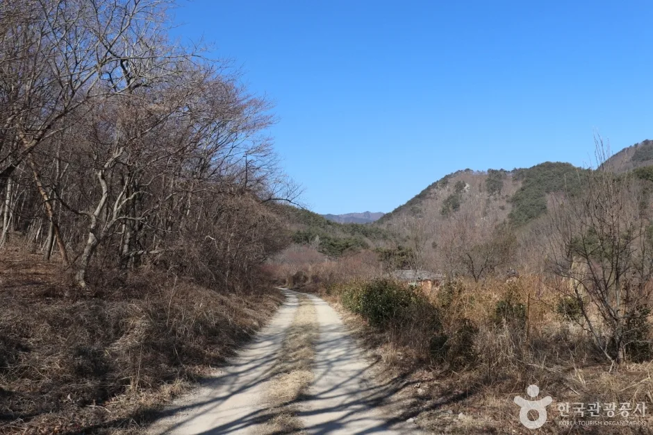 경주 왕의 길 (11)