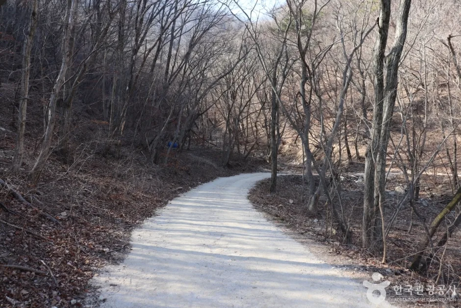경주 왕의 길 (9)