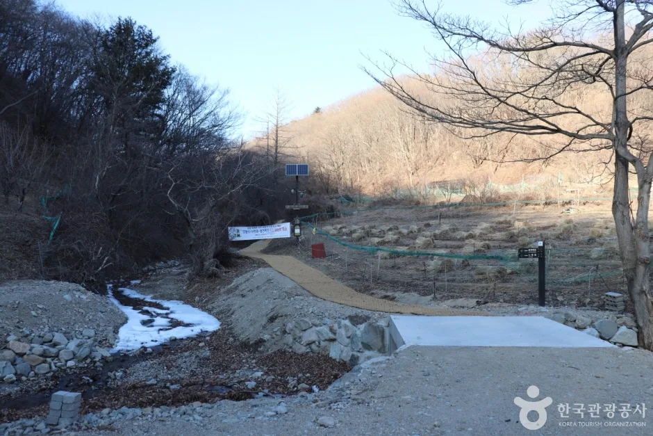 경주 왕의 길 (6)