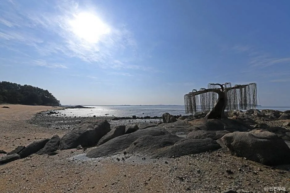 인천_신시모도 (신도ㆍ시도ㆍ모도) (2)