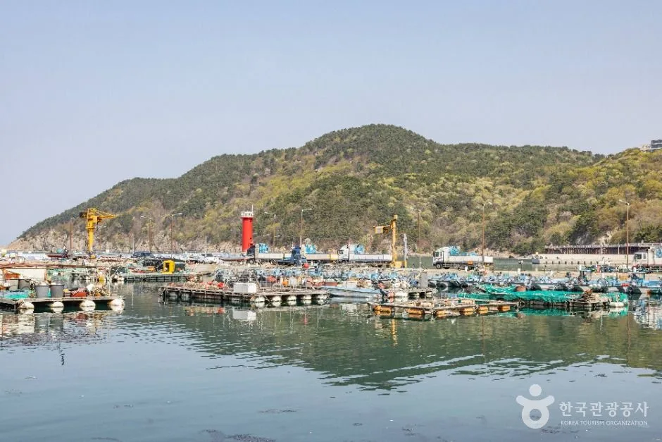 부산_대항선착장 (2)