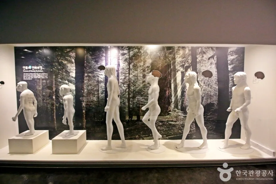 대전선사박물관 (4)