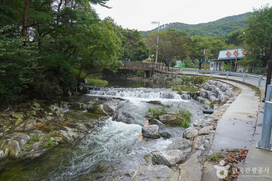 용현계곡 (5)