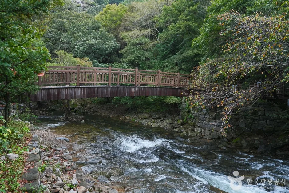 용현계곡 (7)
