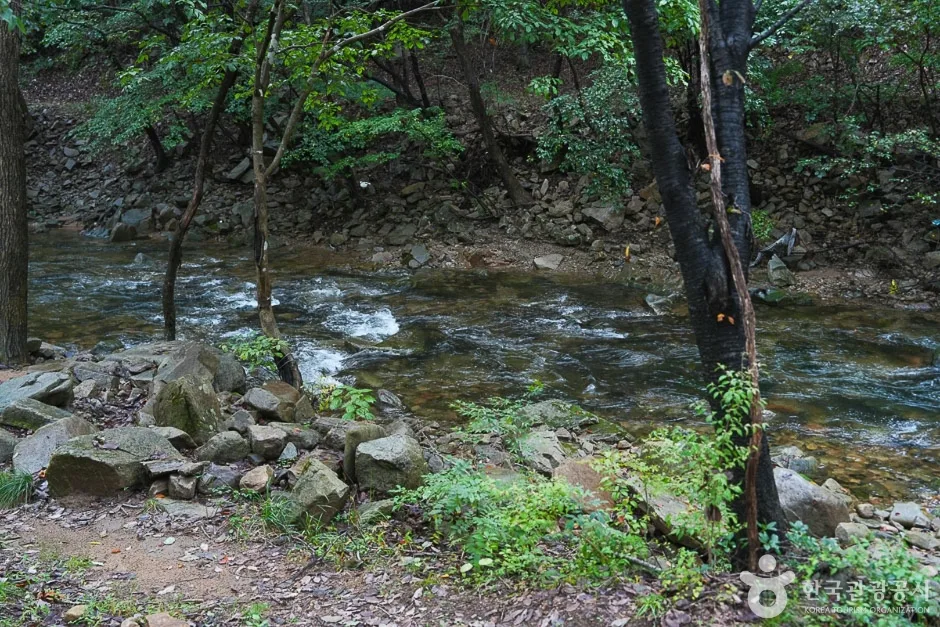 용현계곡 (8)