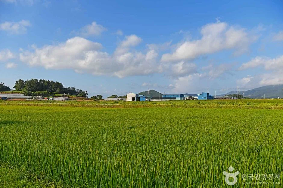 오산어촌체험마을 (1)