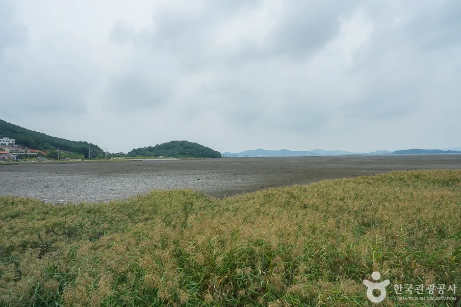 A04228_인천_강화_동검도(13)