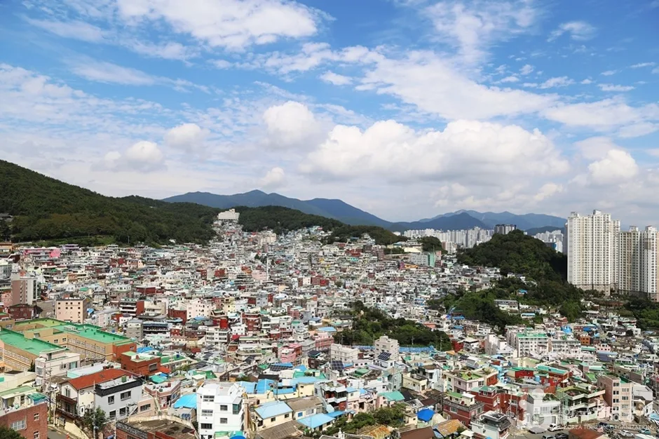 책마루전망대 (15)