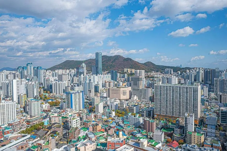 책마루전망대_풍경 (5)