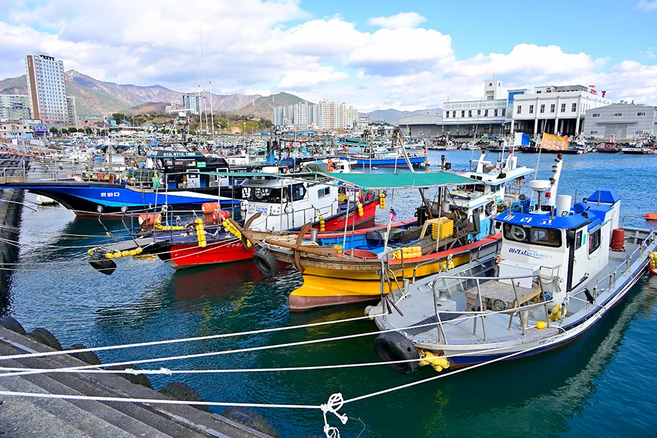 경남_사천시_삼천포 팔포항 (3).jpg