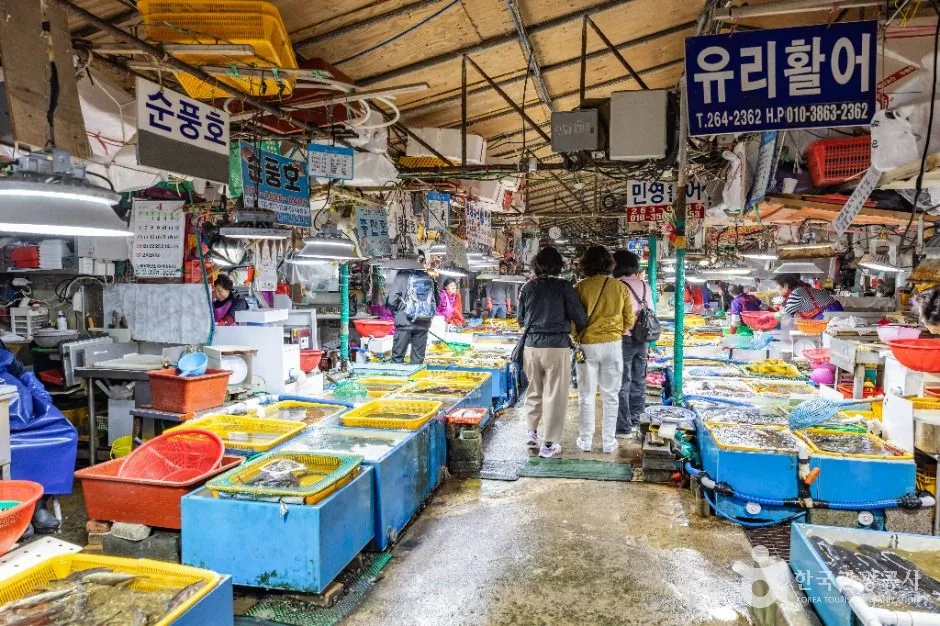 부산_다대포항 (9)