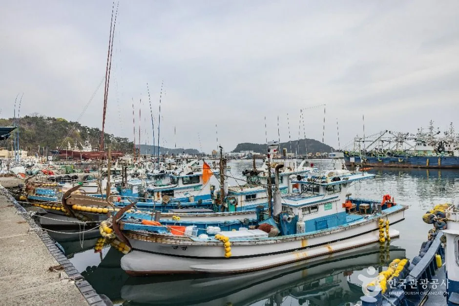 부산_다대포항 (6)