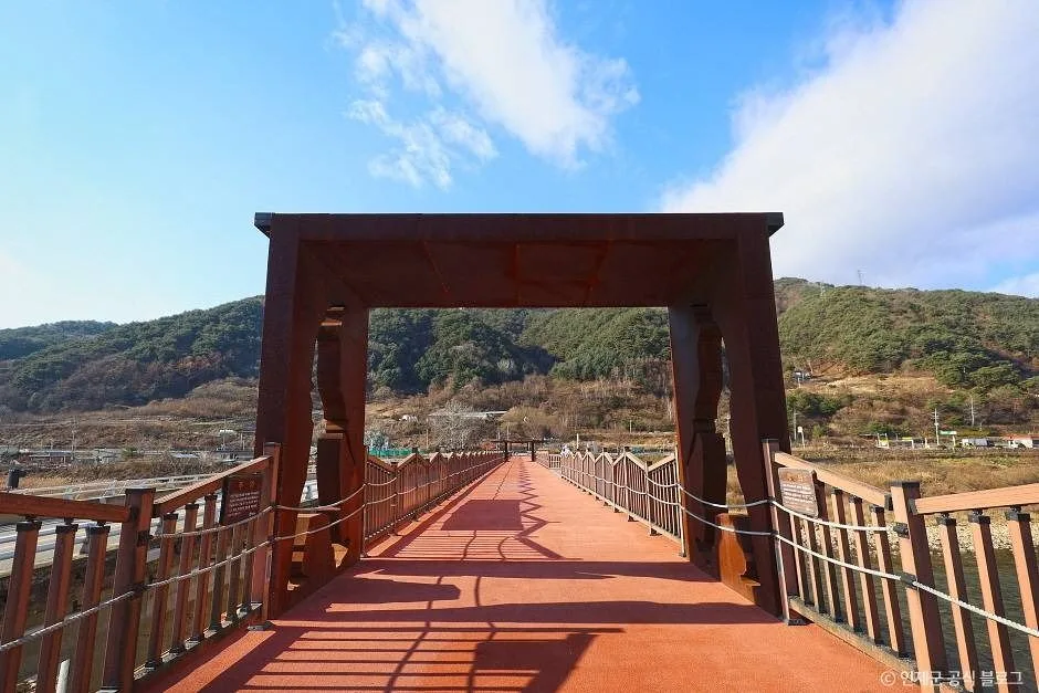 인제_리빙스턴교 (4)