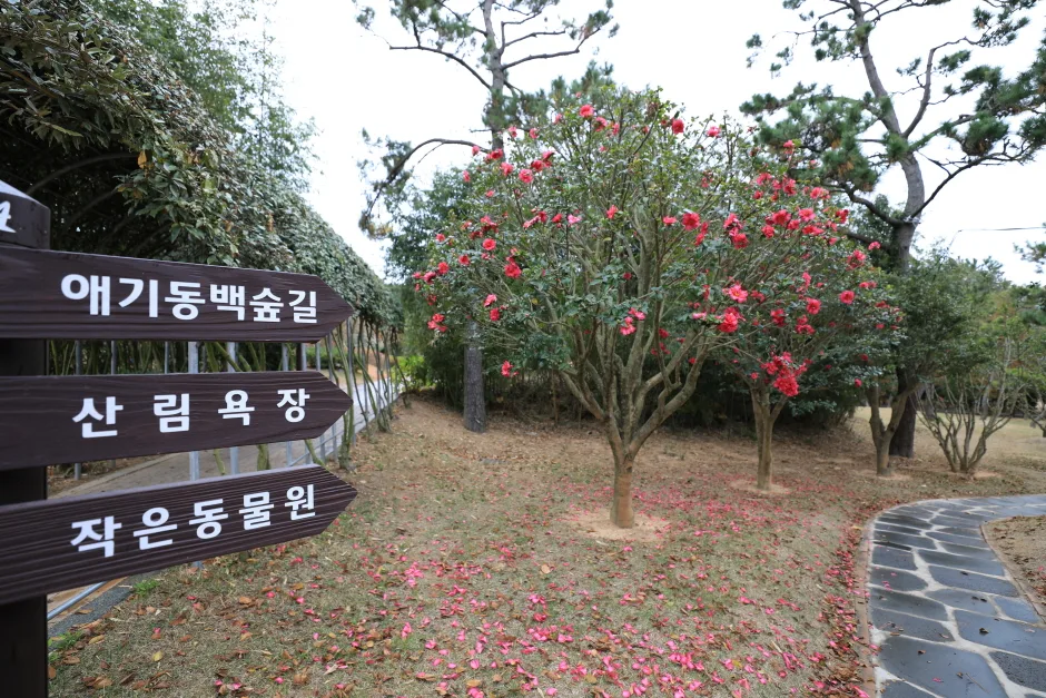 신안_천사섬 분재공원 (3).JPG