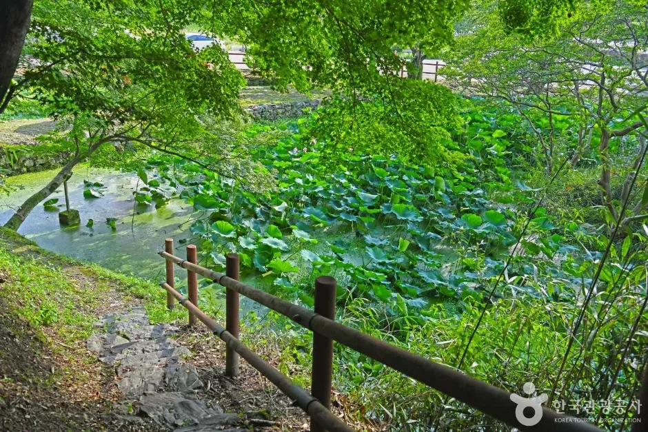 임대정원림 (7)