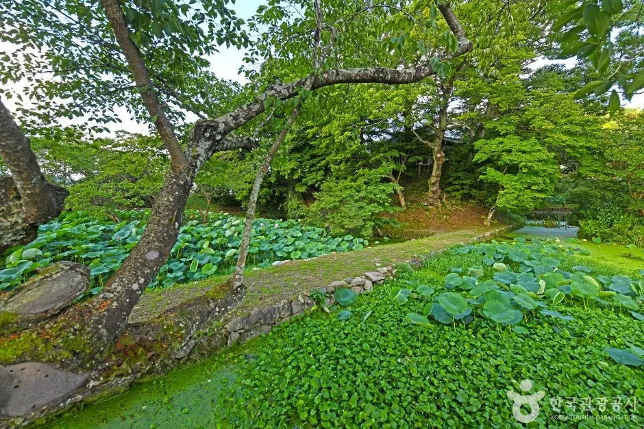 임대정원림 (5)