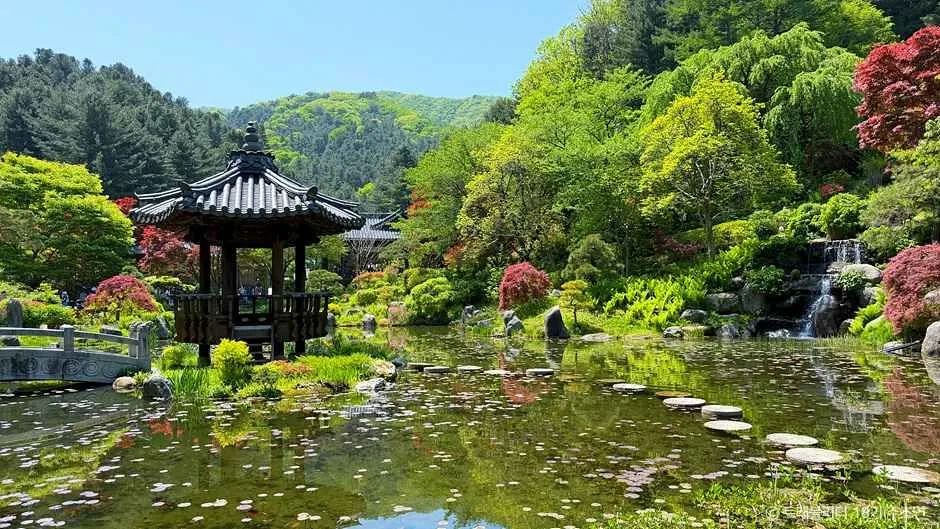 아침고요수목원_10