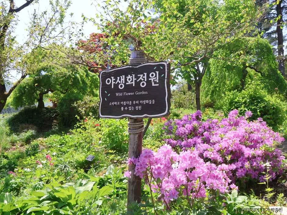 아침고요수목원_11