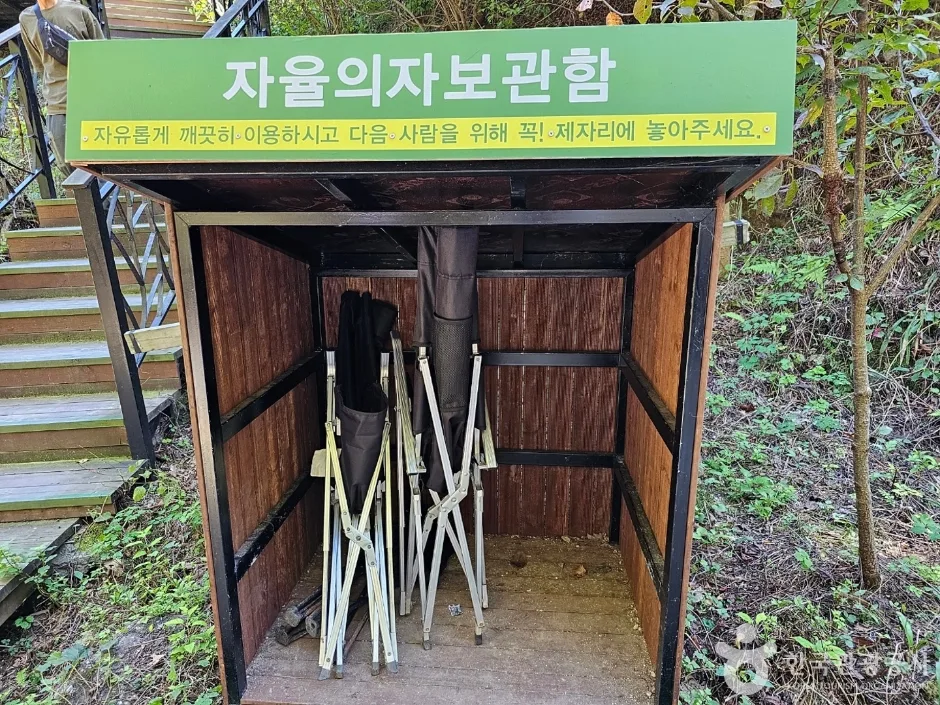 서울 근교 가평 여행 후기, 힐링부터 액티비티까지 1박 2일 코스_아침고요수목원_1-4.jpg