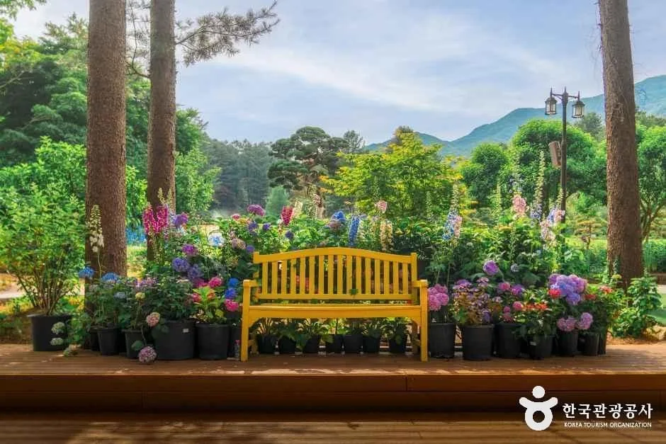 서울 근교 가평 여행 후기, 힐링부터 액티비티까지 1박 2일 코스_아침고요수목원_1-6.jpg