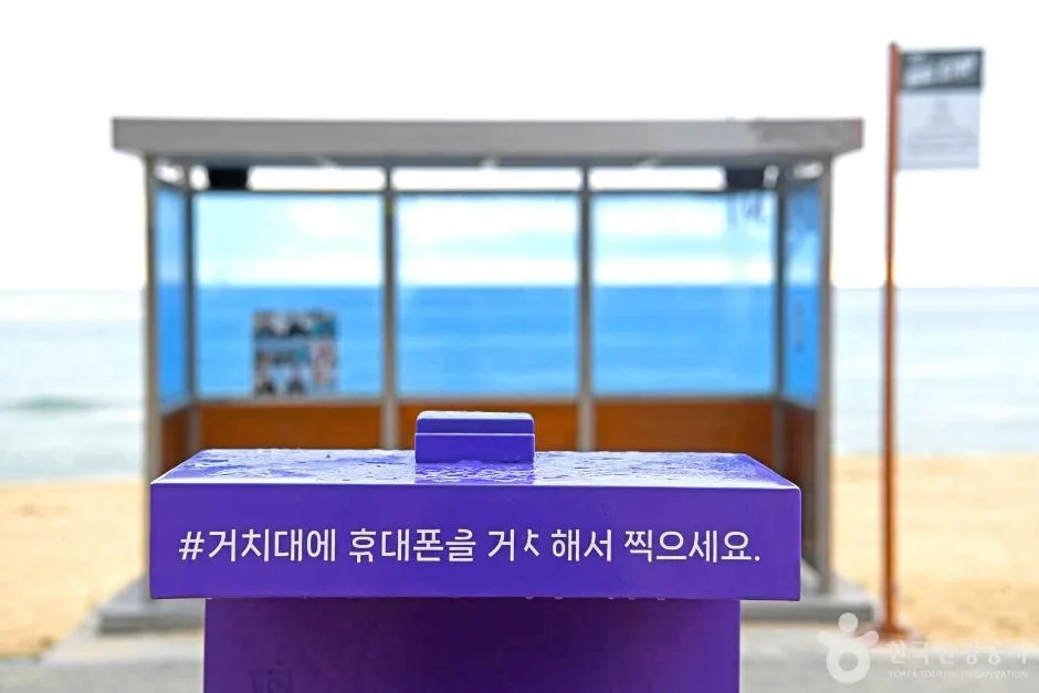 주문진읍 BTS 앨범사진 촬영지 (버스정류장) (5)