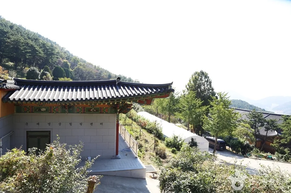 내원정사 (15)