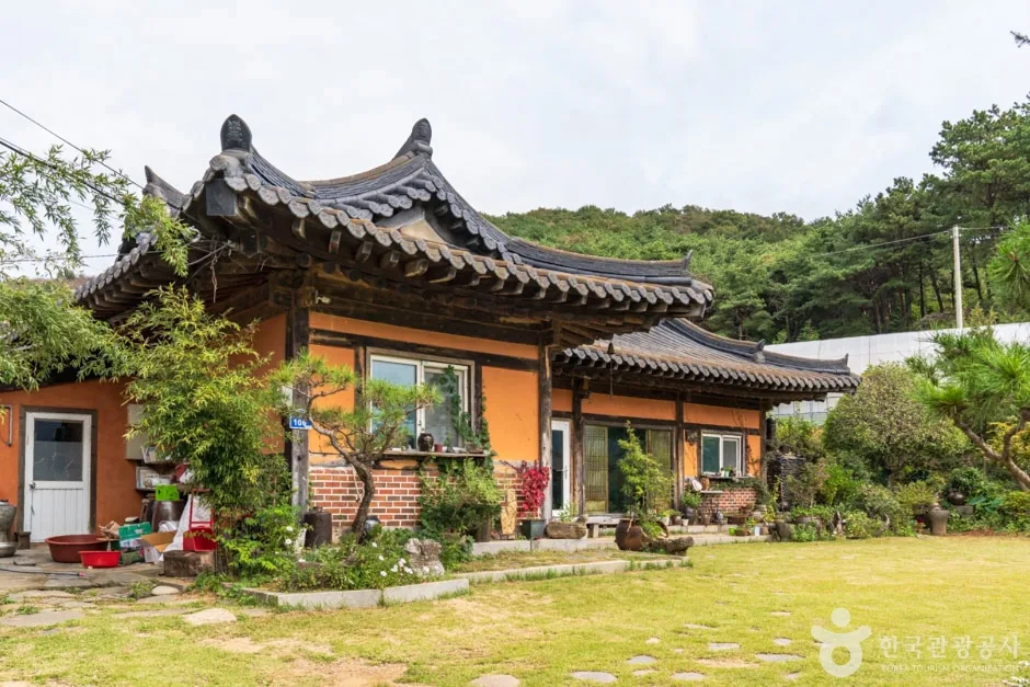 평강뜰애 (3)