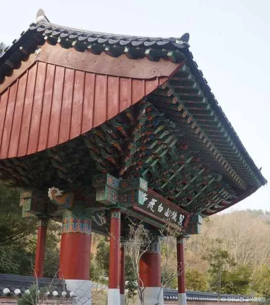 강진_백련사 동백나무 숲 (1).jpg