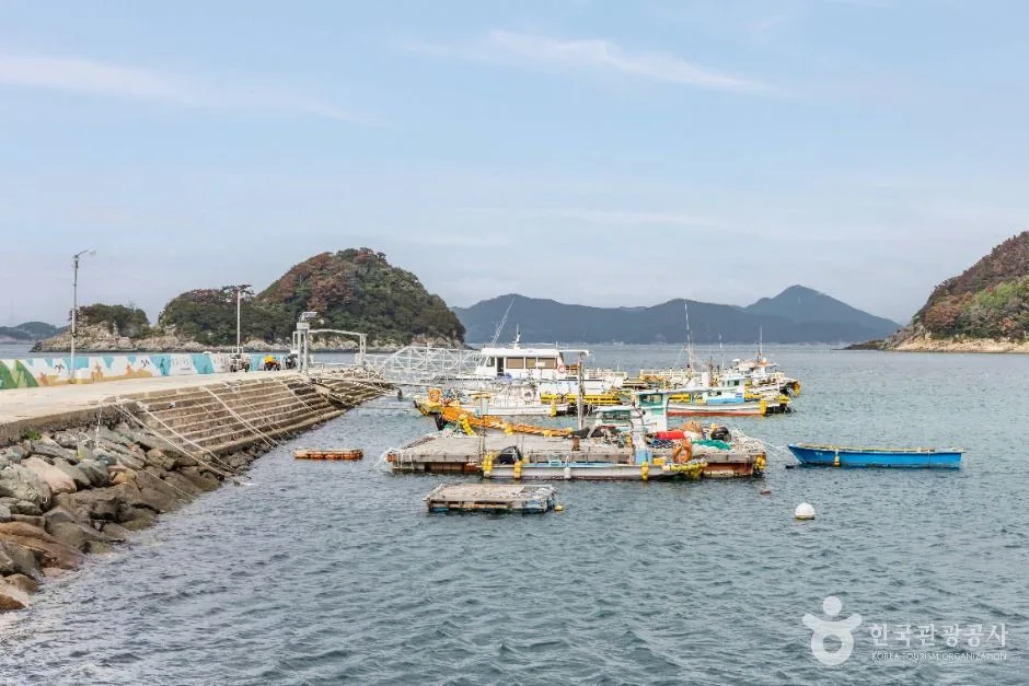 통영_비진도 (7)