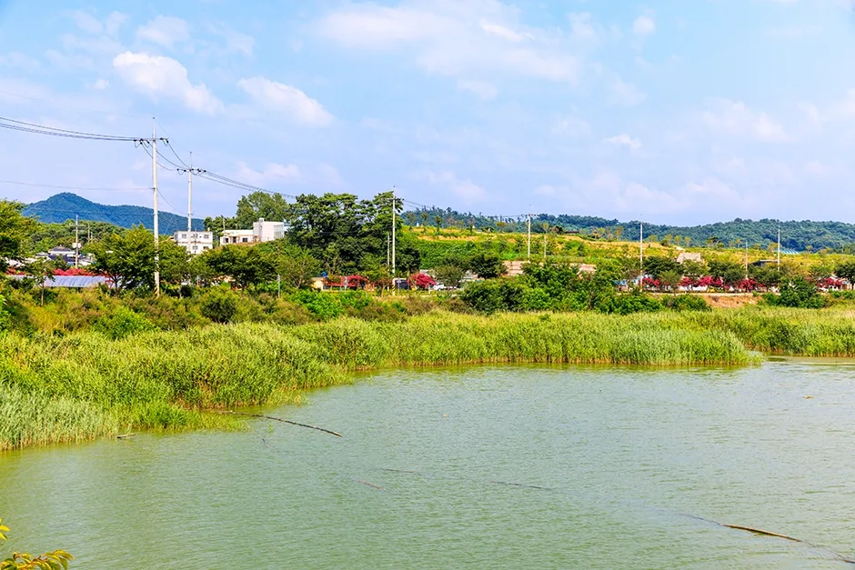 충남_홍성군_홍성호 (5).jpg