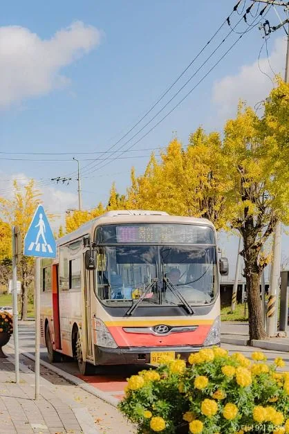 부여 가볼만한곳 힐링 여행 정림사지 부여 밤줍기 체험 맛집 숙소 추천_규암근대마을_3-1