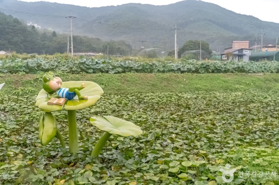경기_용인_내동마을연꽃단지_외부_5.jpg