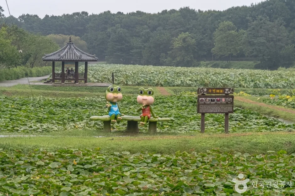 경기_용인_내동마을연꽃단지_외부_3.jpg